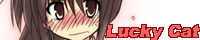 banner6.jpg